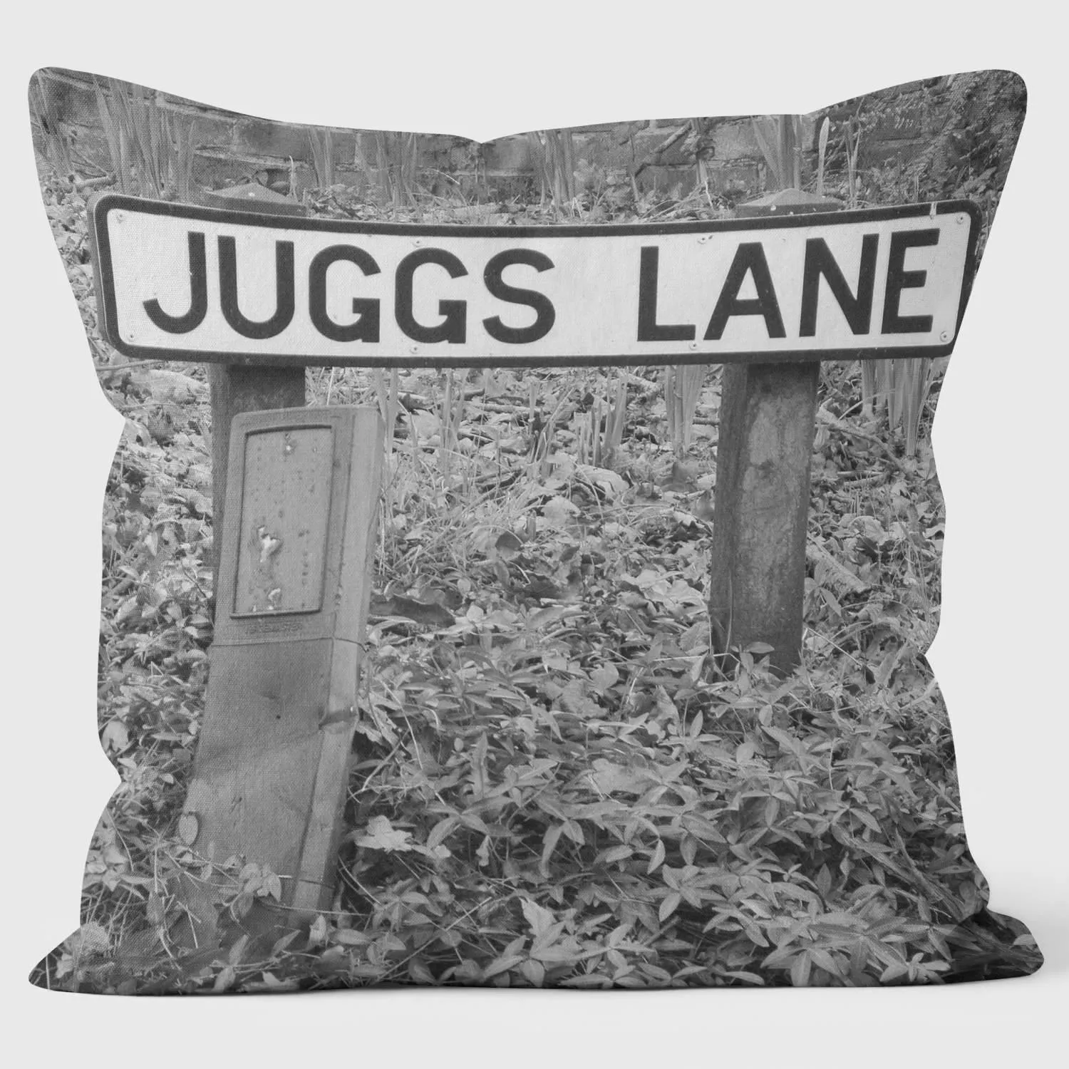 Juggs Lane - Lesser Spotted Britain Cushion