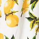 Retro Style Lemon Print Fit & Flare Dress