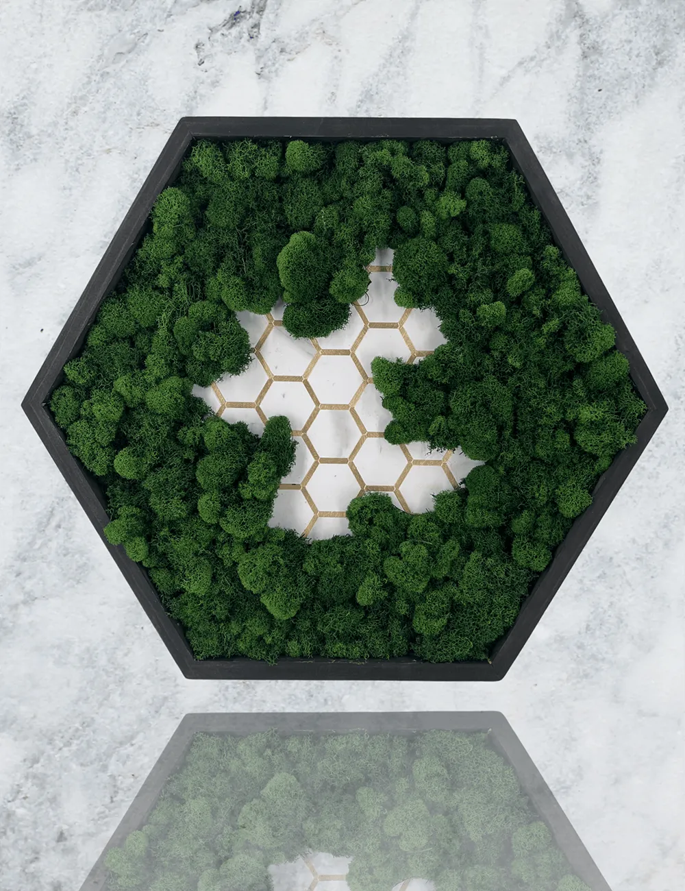 Tiled Hexagon Moss Wall Art