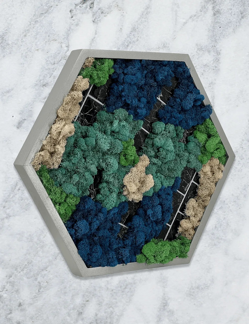 Tiled Hexagon Moss Wall Art